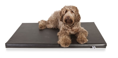 Bia Bed Ortho Matras, orthopedisch hondenmatras, zwart kunstleer